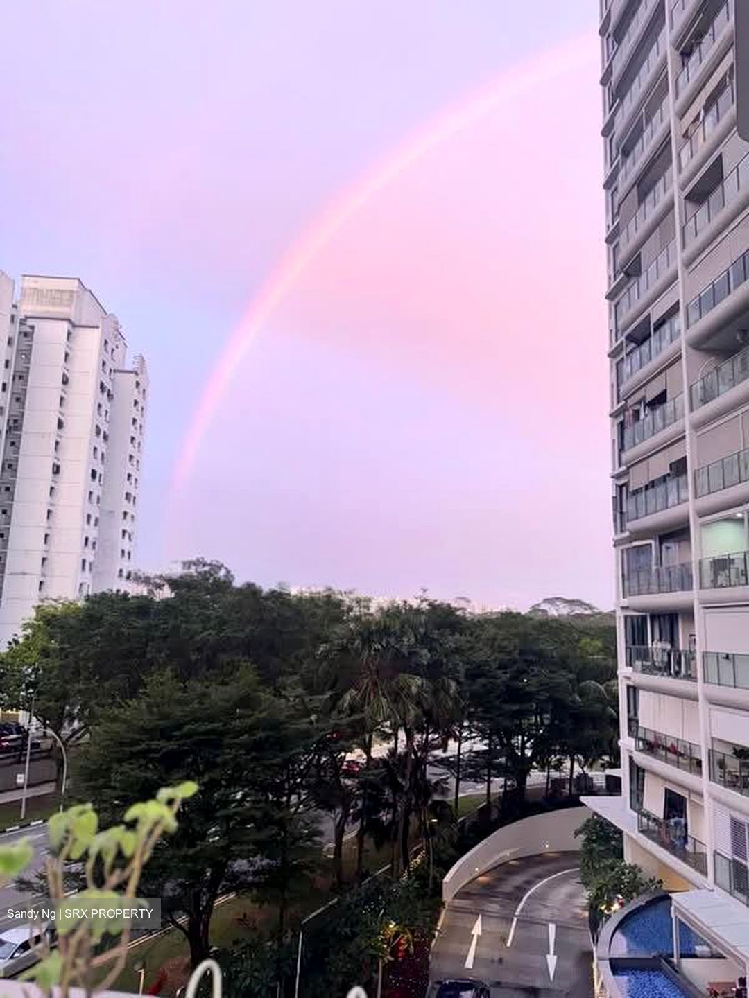 Riversound Residence (D19), Condominium #611058551